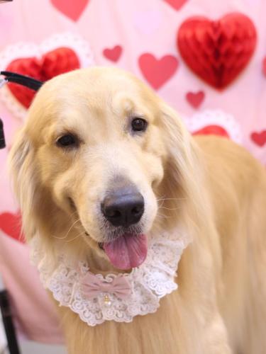 20240206BARON Jr.くん